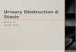 Urinary Obstruction & Stasis