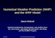 Numerical Weather Prediction (NWP) and the WRF Model