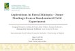 Aspirations in Rural Ethiopia – Some Findings from  a Randomized Field Experiment