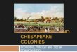 The Southern and Chesapeake Colonies