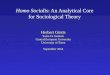 Homo Socialis : An Analytical Core for Sociological Theory