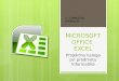 MICROSOFT OFFICE  EXCEL