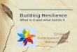 Building Resilience What is it and what builds it