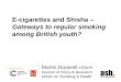 E-cigarettes and Shisha –  Gateways to regular smoking among British youth?