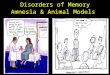 Disorders of Memory Amnesia & Animal Models