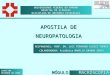 UNIVERSIDADE FEDERAL DO PARANÁ HOSPITAL DE CLÍNICAS DISCIPLINA DE ANATOMIA PATOLÓGICA