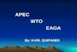 APEC WTO EAGA By: KARL QUIPANES