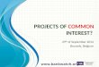 Projects of  Common  Interest?
