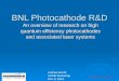BNL Photocathode R&D