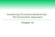 Sustaining Terrestrial Biodiversity:  The Ecosystem Approach