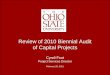 Review of 2010 Biennial Audit  of Capital Projects  Cyndi Fout Project Services Director