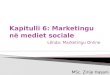 Kapitulli 6: Marketingu  në  mediet  sociale