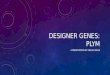 Designer Genes: pLym