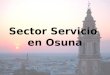 Sector Servicio  en Osuna