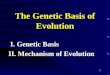 The Genetic Basis of Evolution