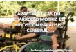 CARACTERÍSTICAS DEL DESARROLLO MOTRIZ  EN NIÑOS CON PARÁLISIS CEREBRAL