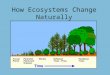 How Ecosystems Change Naturally