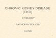 CHRONIC KIDNEY DISEASE (CKD)