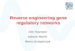 Reverse engineering gene regulatory networks