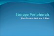 Storage Peripherals