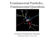Fundamental Particles,   Fundamental Questions