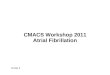CMACS Workshop 2011 Atrial Fibrillation