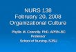 NURS 138 February 20, 2008 Organizational Culture