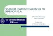 Financial Statement Analysis for SIDENOR S.A