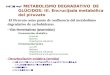 Tema 24 METABOLISMO DEGRADATIVO  DE  GLÚCIDOS: III. Encrucijada metabólica  del piruvato