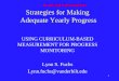 Strategies for Making  Adequate Yearly Progress