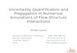 Uncertainty Quantification and Propagation in Numerical Simulations of Flow-Structure Interactions