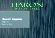 Haron  Jaguar