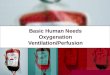 Basic Human Needs Oxygenation Ventilation/Perfusion