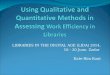 Using Qualitative and Quantitative Methods in Assessing  Work Efficiency  in Librar i es