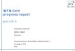 INFN-Grid progress report gridfn.it