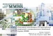 Ключевые тенденции  IPO  российских компаний и возможности Фондовой Биржи ММВБ