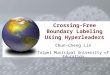 Crossing-Free Boundary Labeling Using Hyperleaders