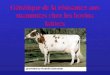 Génétique de la résistance aux mammites chez les bovins laitiers