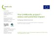 The CAMbrella project* -  status and potential impact Wolfgang Weidenhammer