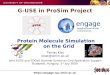 Protein Molecule Simulation on the Grid
