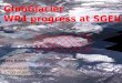 GlobGlacier WP4 progress at SGEU Eero Rinne ,  s0794770@sms.ed.ac.uk University of Edinburgh