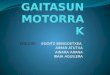 GAITASUN MOTORRAK
