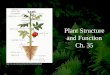 Plant Structure and Function Ch. 35