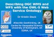 Describing OGC WMS and WFS with the OWL-S Web Service Ontology