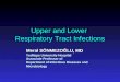 Upper and Lower  Respiratory  Tract Infections