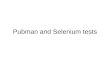Pubman and Selenium tests
