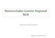 Nomenclador Común Regional NCR