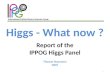 Higgs - What now  ? Report  of the IPPOG  Higgs  Panel Thomas Naumann DESY