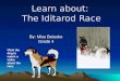 Learn about:  The Iditarod Race