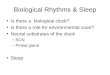 Biological Rhythms & Sleep